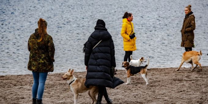 Spaziergänger mit ihren Hunden am Berliner Grunewaldsee. Spaziergänger mit ihren Hunden am Berliner Grunewaldsee.