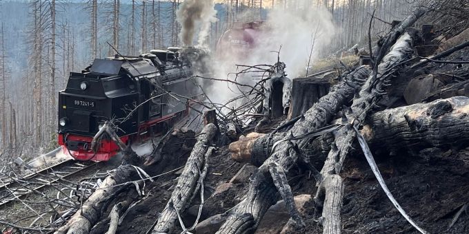 Auf der Ostseite des Harzes war ein Grossfeuer ausgebrochen. Auf der Ostseite des Harzes war ein Grossfeuer ausgebrochen.