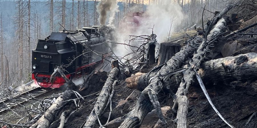 Auf der Ostseite des Harzes war ein Grossfeuer ausgebrochen.