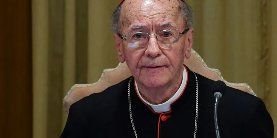 Der brasilianische Kardinal Hummes im Oktober 2019