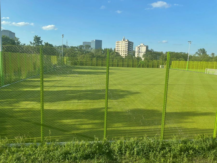 Ein sattes Grün als Trainingsfeld.