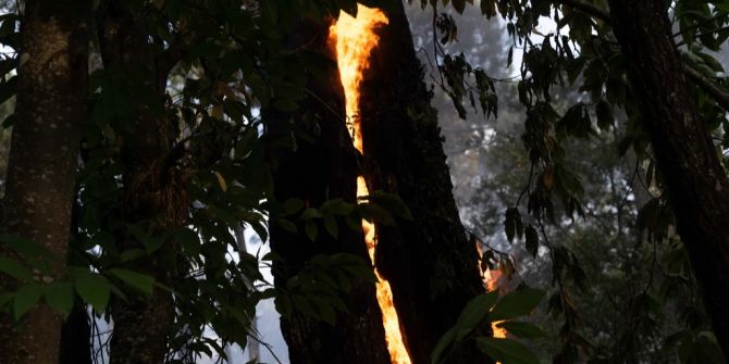 waldbrand frankreich