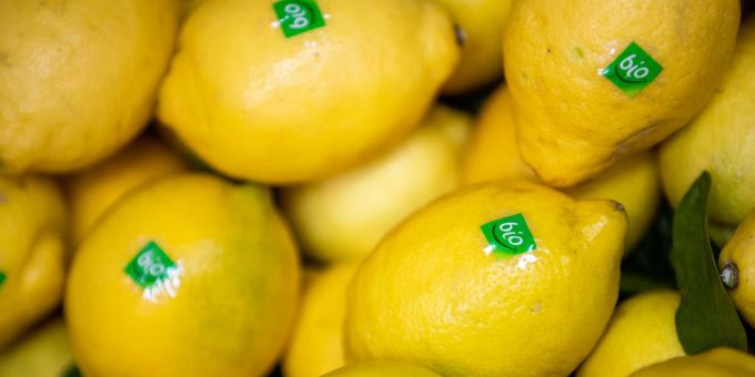 Immer mehr Menschen setzen bei ihrem Lebensmitteleinkauf auf Bio-Produkte. Immer mehr Menschen setzen bei ihrem Lebensmitteleinkauf auf Bio-Produkte.