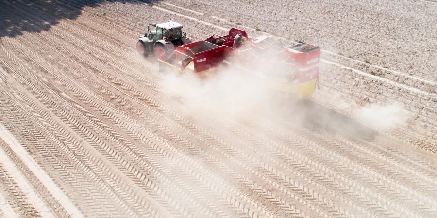 Ein Landwirt erntet Kartoffeln auf einem staubtrockenen Feld in der Region Hannover.