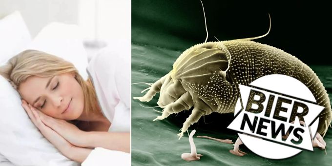 Während wir schlafen - Milben haben Sex-Orgien auf unserem Gesicht