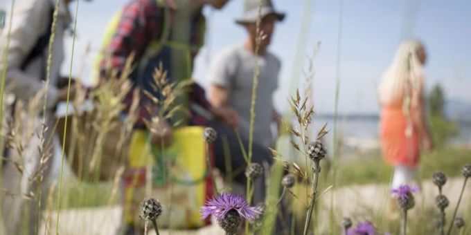 Zehntausende Interessierte besuchten am 6. Festival der Natur rund 750 Veranstaltungen. Schwerpunkt des Festivals waren dieses Jahr Themen der ökologischen Infrastruktur. Zehntausende Interessierte besuchten am 6. Festival der Natur rund 750 Veranstaltungen. Schwerpunkt des Festivals waren dieses Jahr Themen der ökologischen Infrastruktur.