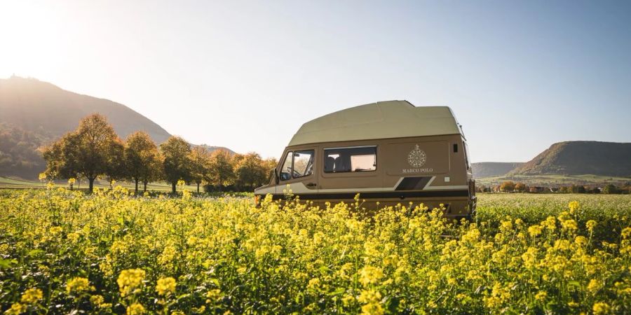 Mercedes Benz Camper