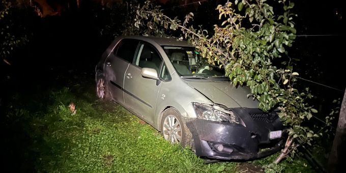 Eschenz TG - Besoffener Autofahrer (41) landet in Obstplantage