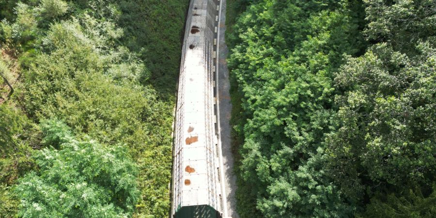 Die Hermann-Hesse-Bahn bei Calw ist ein jüngeres Beispiel für die Reaktivierung alter Bahntrassen. (Archivfoto)