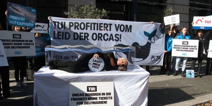 «Es gibt keine artgerechte Haltung für Tiere wie Orca-Wale in Gefangenschaft», sagt Sarah Connor. «Es gibt keine artgerechte Haltung für Tiere wie Orca-Wale in Gefangenschaft», sagt Sarah Connor.