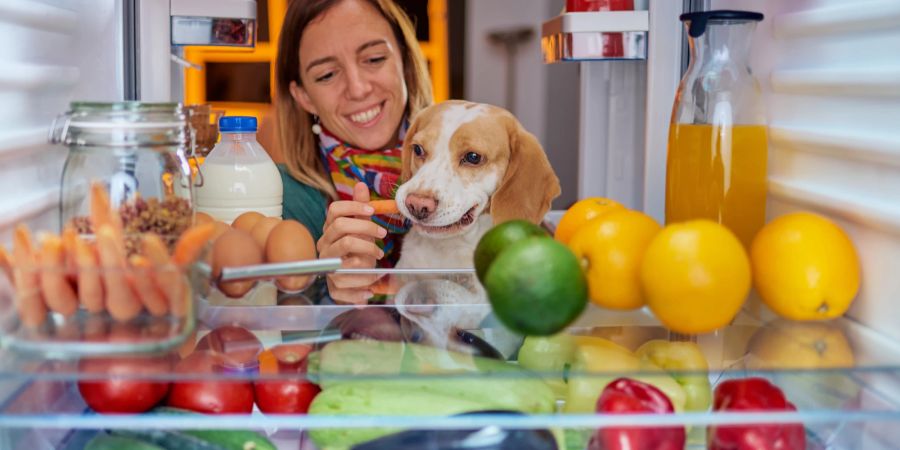 Hund und Frau am Kühlschrank