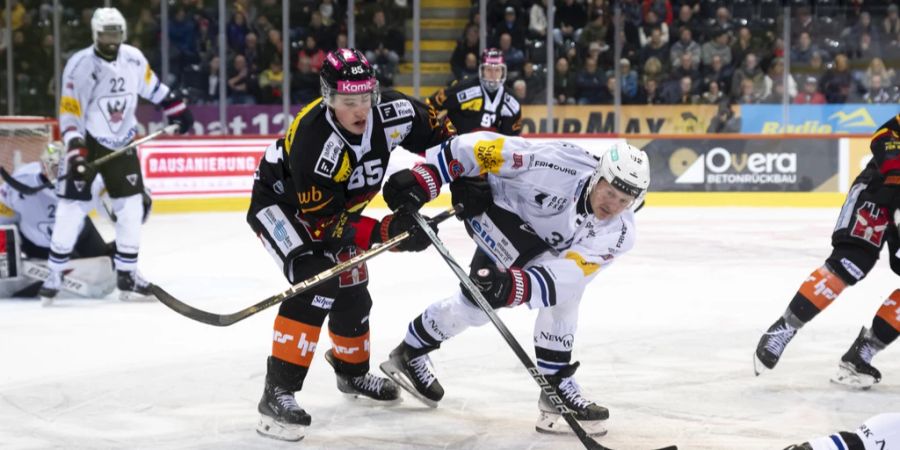 Alain Graf SC Bern