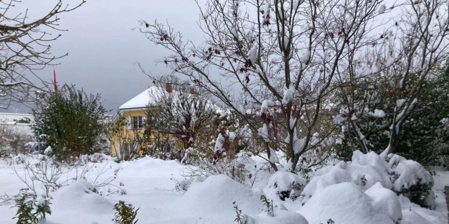 Auch das Berner Seeland ist in eine dicke weisse Schneedecke gehüllt.