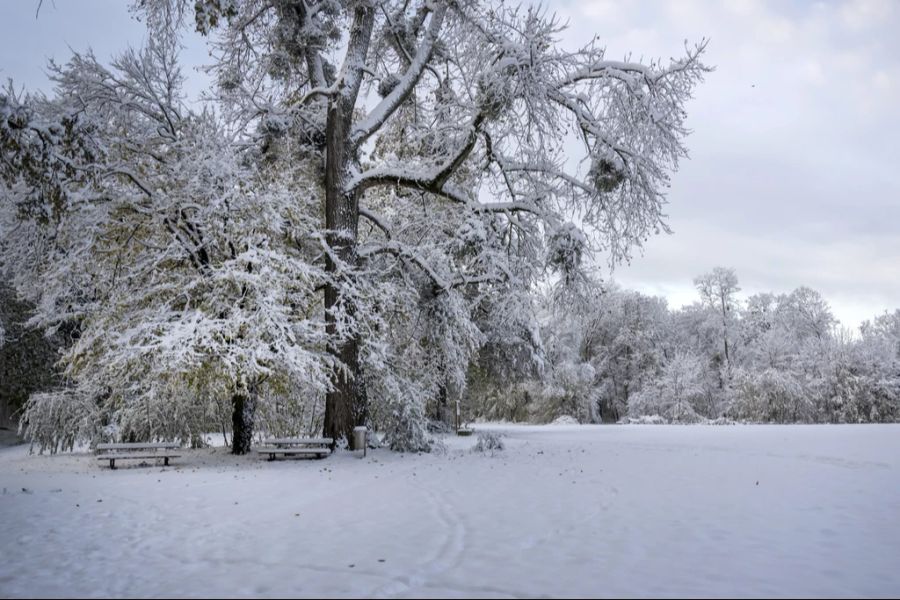 In Basel wurde ein neuer November-Schneerekord aufgestellt. Es fielen 28 Zentimeter.