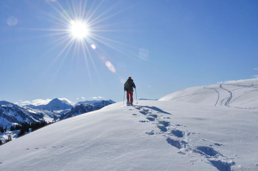 Sparenmoos Winter Schneeschuhwandern