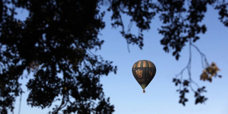 Heissluftballon Baum Himmel