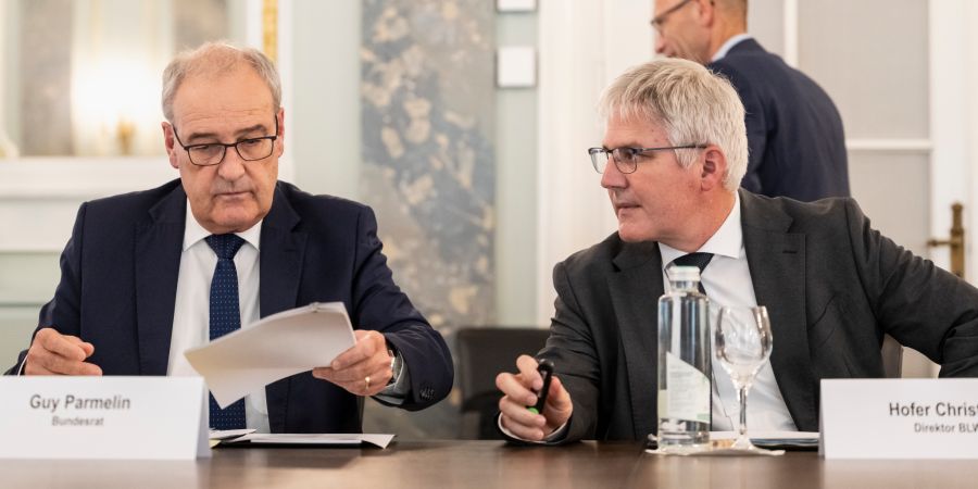 Bundesrat Guy Parmelin