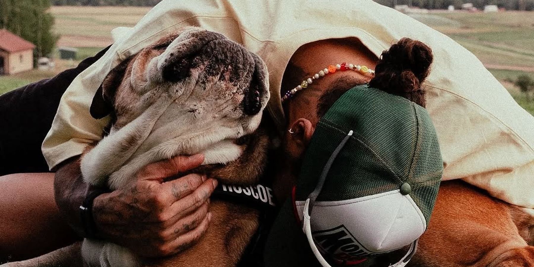 Lewis Hamilton trauert um geliebten Hund Roscoe | Nau.ch