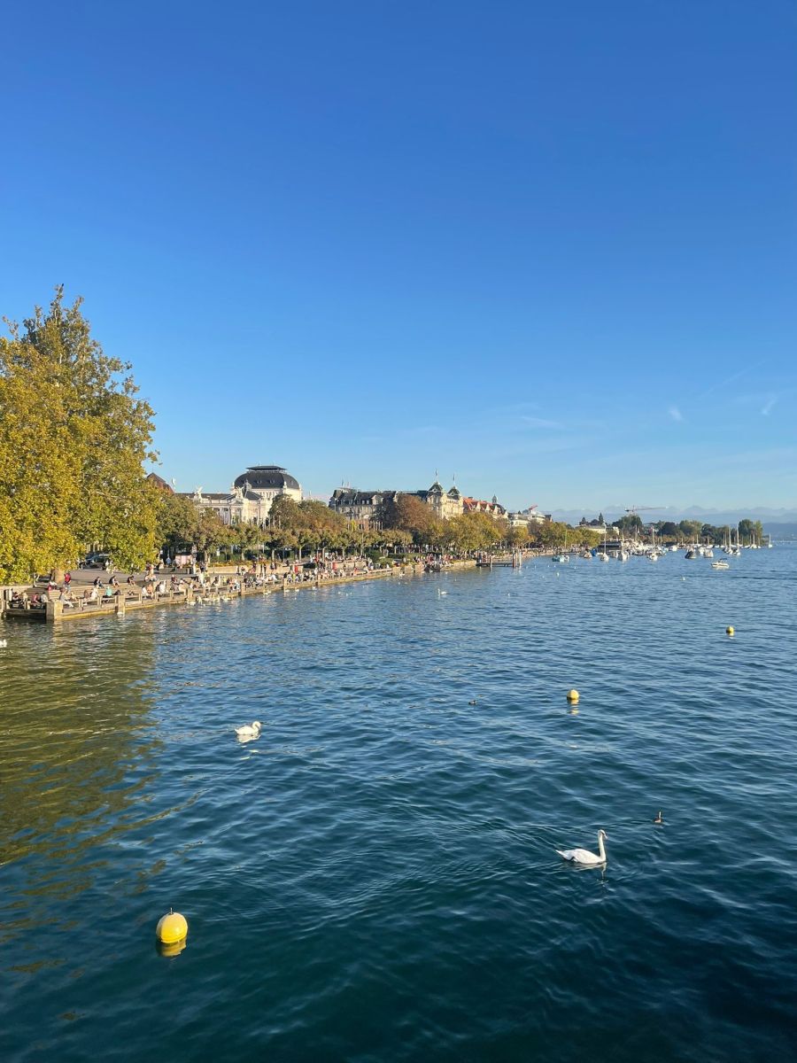 Das Ufer des Zürichsees am Freitagabend.
