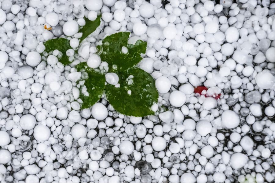 Aufgrund vermehrter Extremereignisse wie Hagel bringt der Klimawandel grosse Herausforderungen für die Landwirtschaft mit sich.