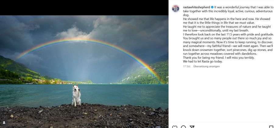 Der Insta-Star Rasta sagt für immer Goodbye – täglich begeisterte er Hunderttausende mit seinem Content.