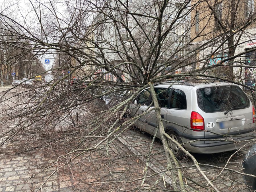 Autos sollten deshalb nicht in der Nähe von Bäumen abgestellt werden.