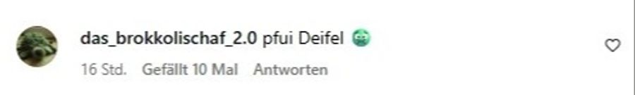 Ein anderer Nutzer hält es ganz kurz und knapp. (Screenshot)