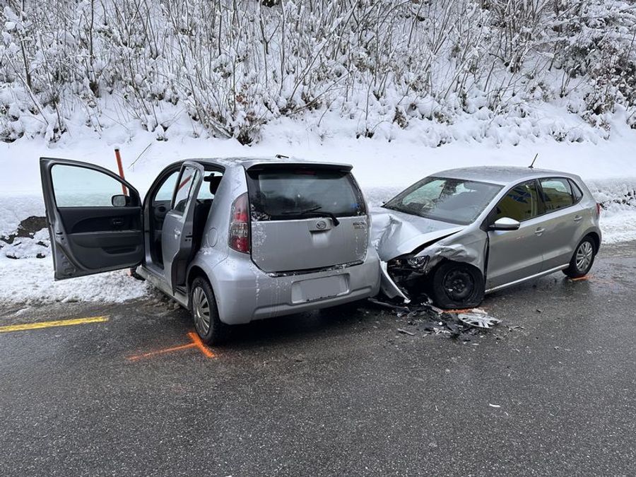 Mehrere Personen wurden beim Unfall verletzt.