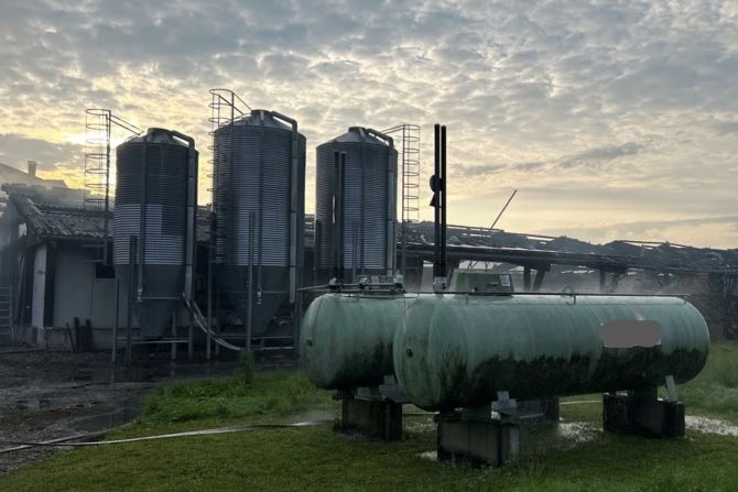 17'000 Masthühner verenden in Ramsen SH