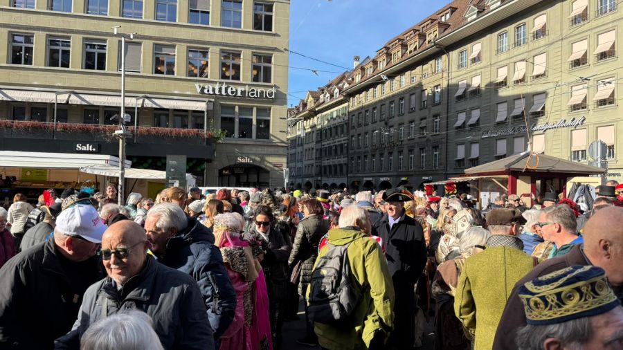 Zahlreiche Leute verfolgen, wie der Fasnachtsbär in den Winterschlaf versetzt wird.