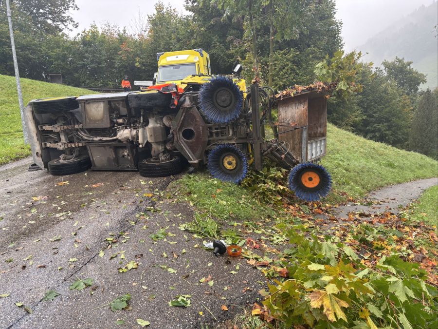 Die Fahrerin wurde beim Unfall verletzt.