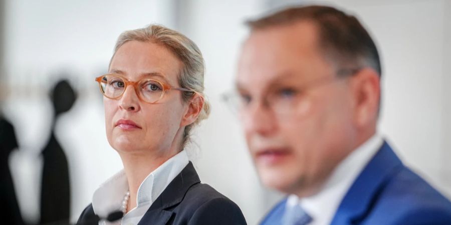 Alice Weidel Tino Chrupalla