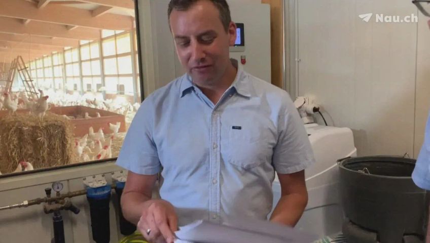 herr-herren-auf-huhnerhof