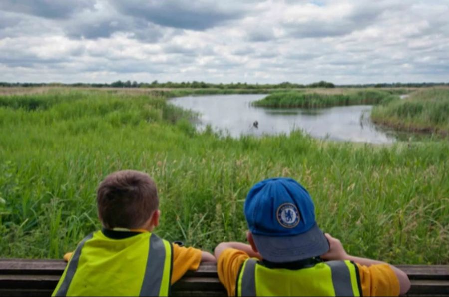 Cantley Marshes