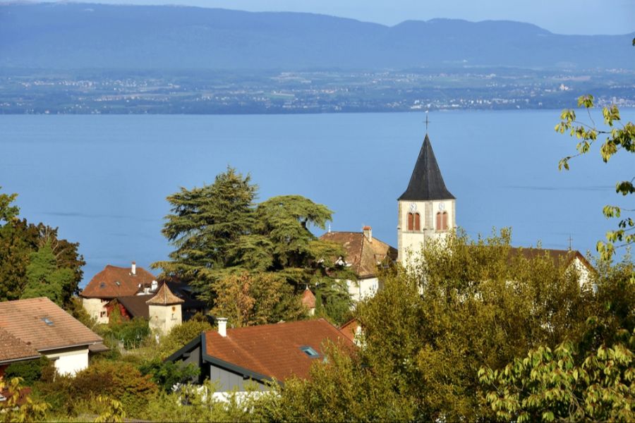 g7