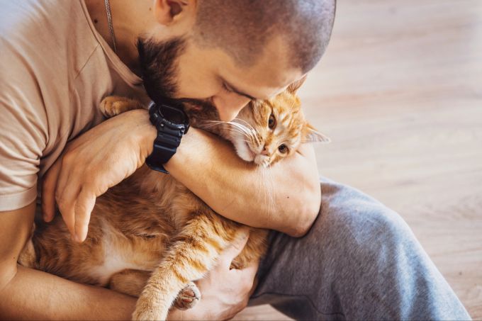 Steht die Katze unter Stress, ist es wichtig, für Entspannung zu sorgen. Mann mit Katze