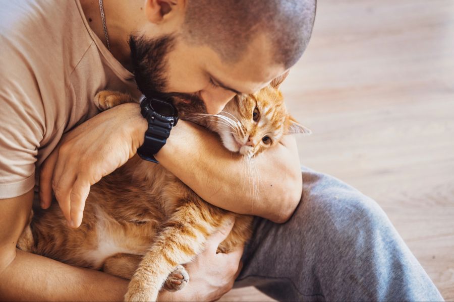 Mann mit Katze