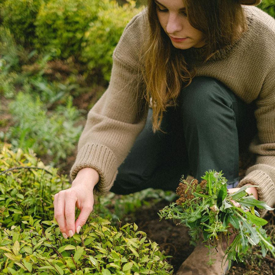 Frau, garten, kräuter
