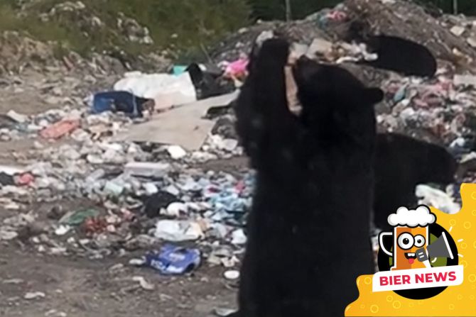 Bär