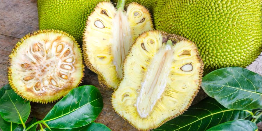 Jackfruit aufgeschnitten Blätter