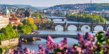 Prag Karlsbrücke, Fliederbusch