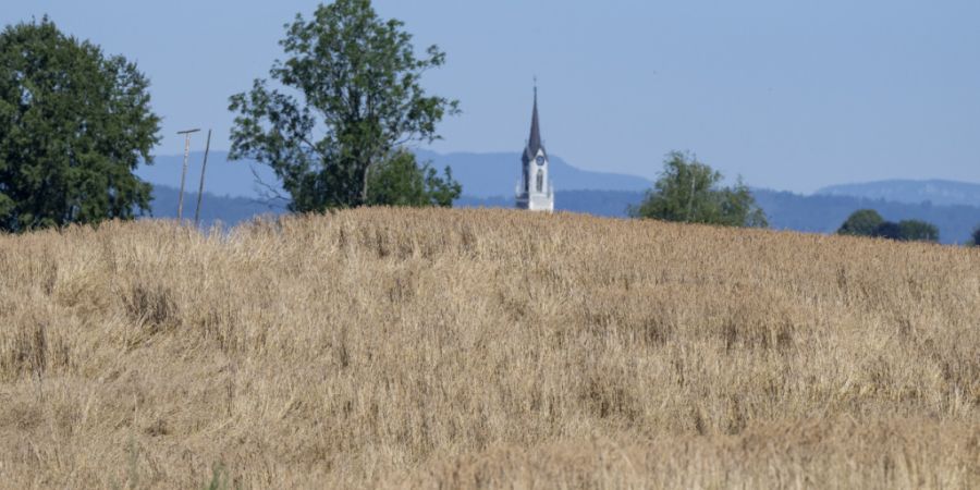 Die Trockenheit ist im Kanton Luzern gross. (Archivaufnahme)
