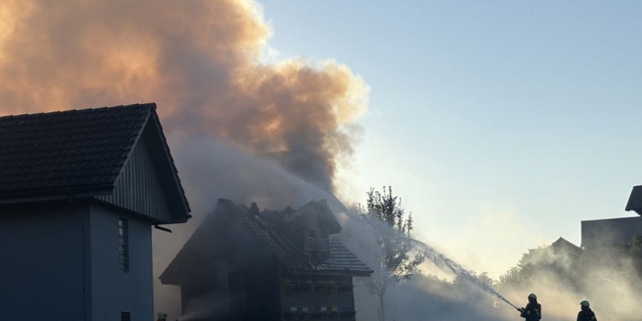 Die Feuerwehr löschte in Benken SG den Brand eines Bienenhauses.