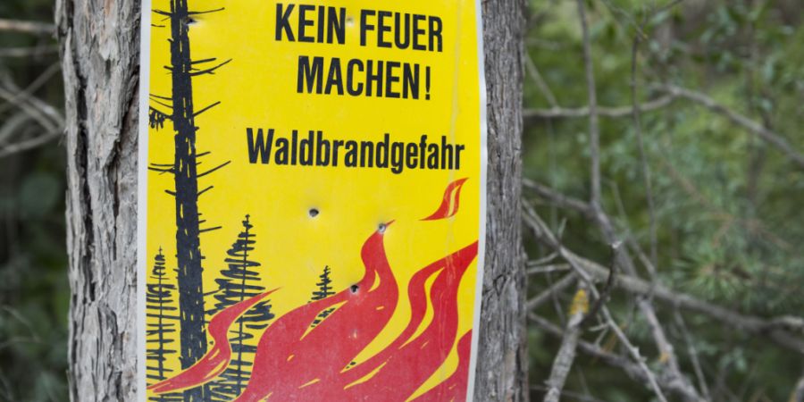 Im Kanton Schwyz gilt ab Freitag, 10, Juli, 14.00 Uhr, ein absolutes Feuerverbot im Wald und in Waldnähe. (Symbolbild)