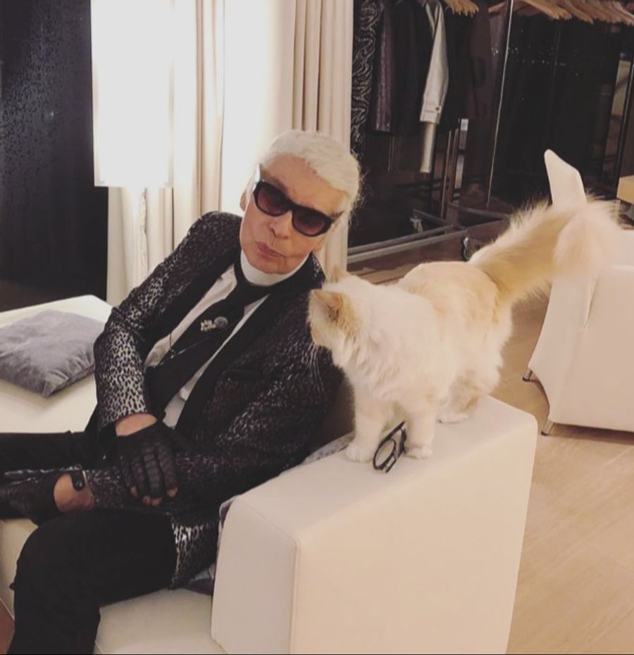 Als Katze von Karl Lagerfeld lebte sie in Saus und Braus.