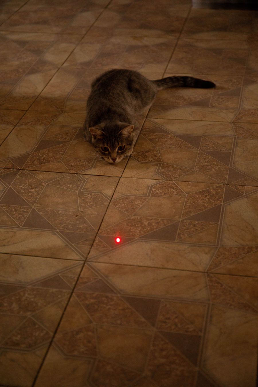 Laserpointer