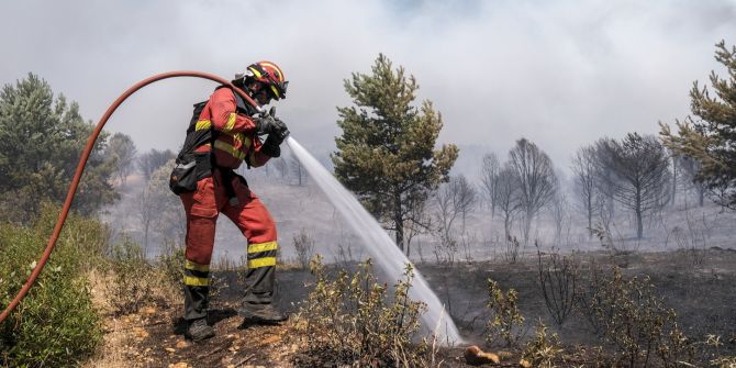 Waldbrand