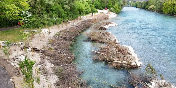 Aare