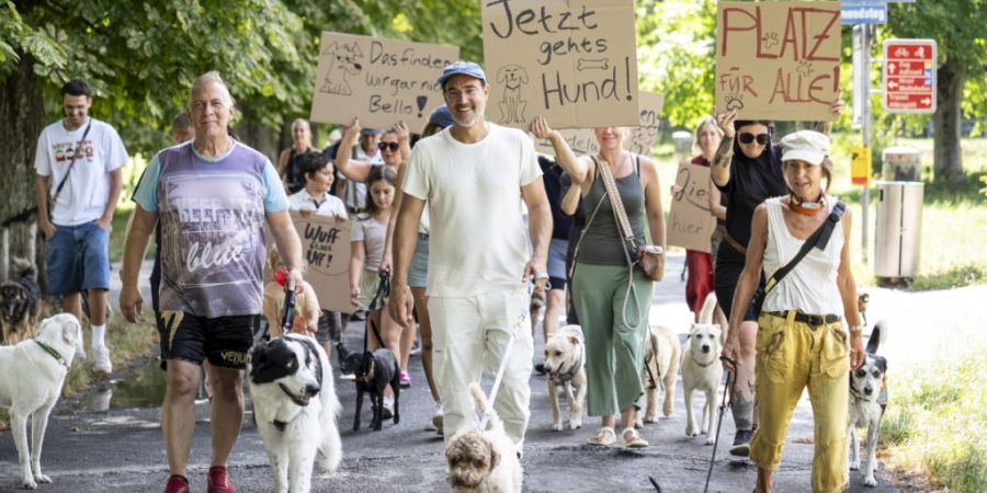 zürcher allmend hunde