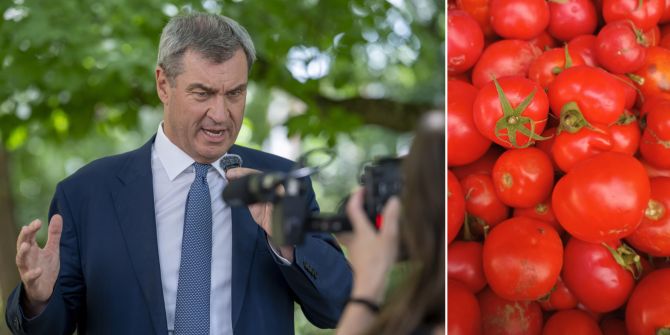 söder